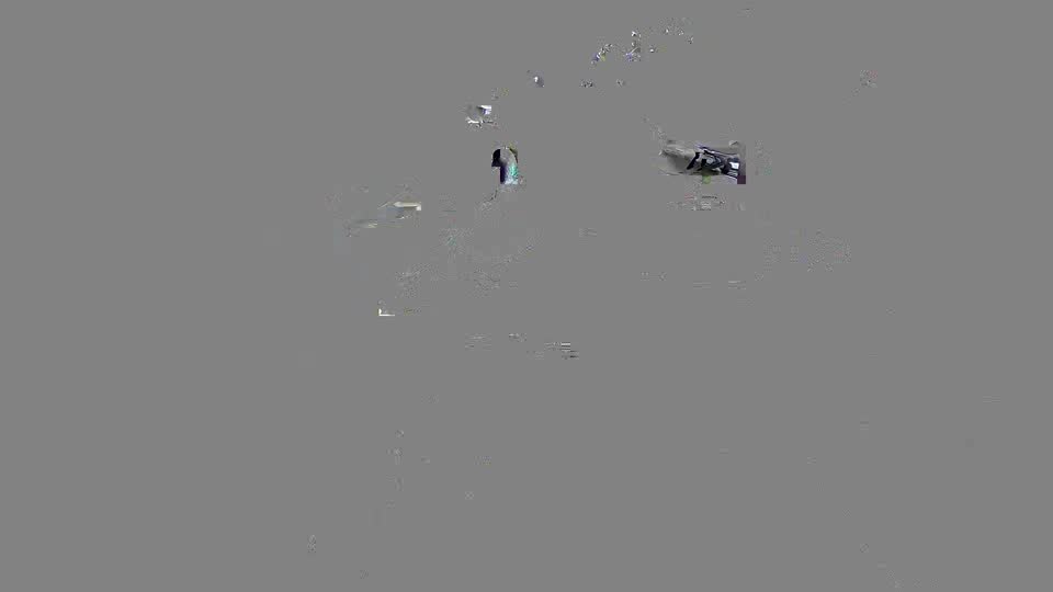 Pigeon Arrival Image For Race Race 2