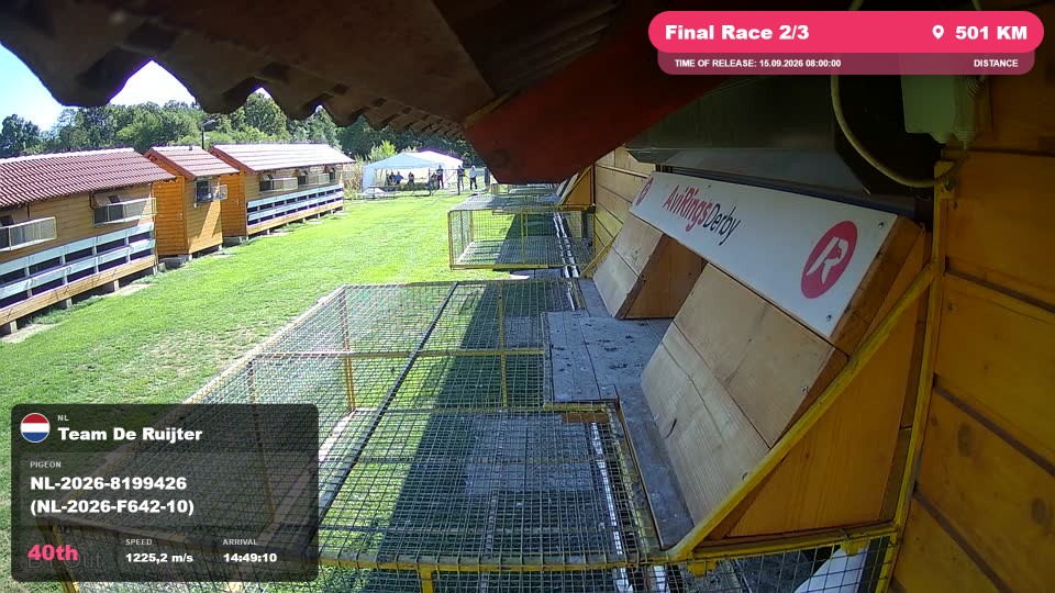 Pigeon Arrival Image For Race Final Race 2/3