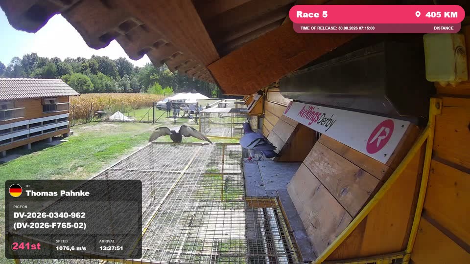 Pigeon Arrival Image For Race Race 5