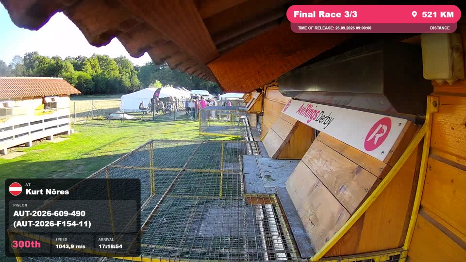 Pigeon Arrival Image For Race Final Race 3/3