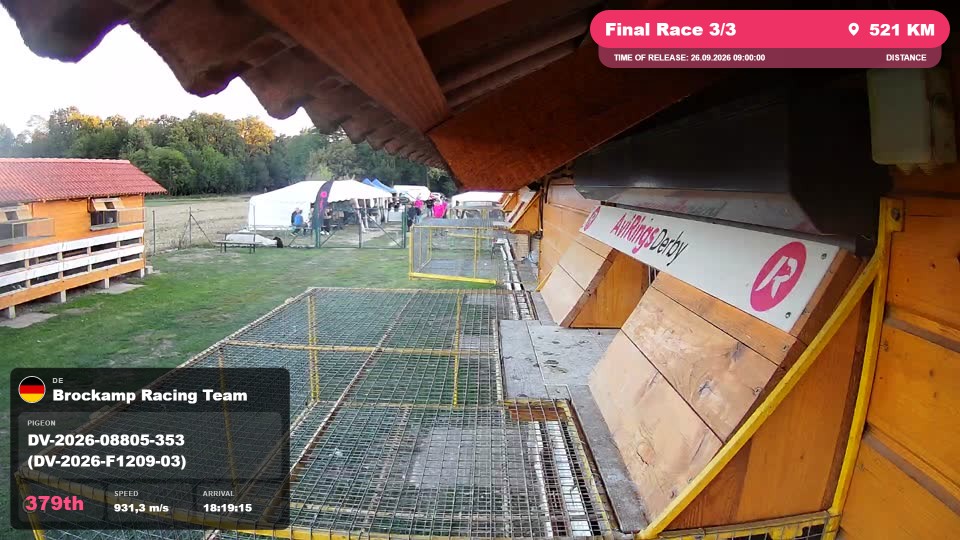 Pigeon Arrival Image For Race Final Race 3/3