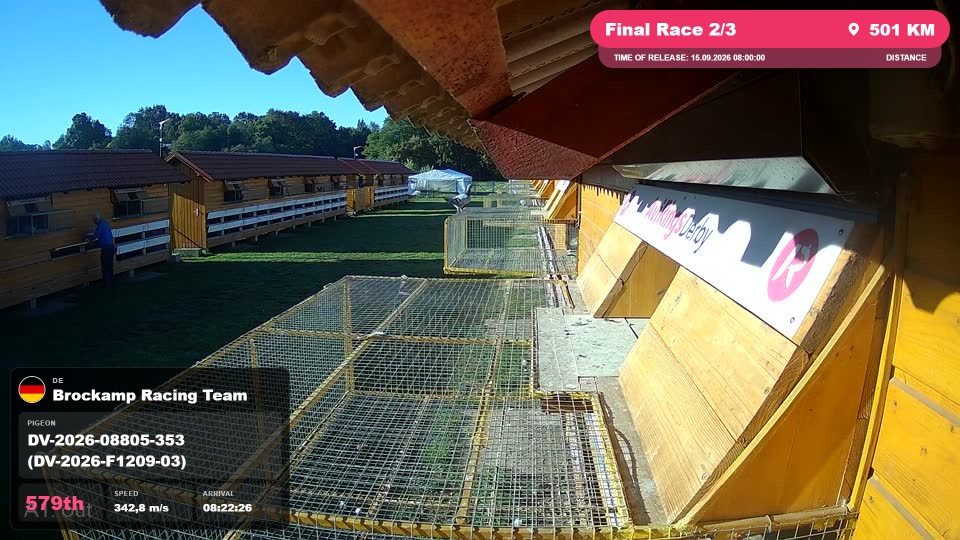Pigeon Arrival Image For Race Final Race 2/3