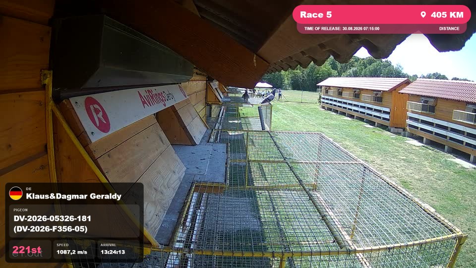 Pigeon Arrival Image For Race Race 5