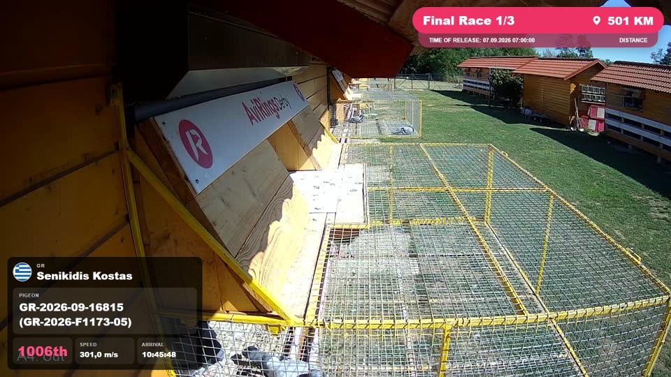 Pigeon Arrival Image For Race Final Race 1/3