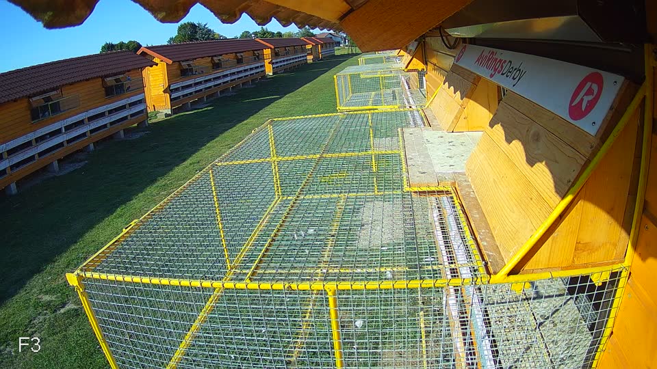 Pigeon Arrival Image For Race Race 5
