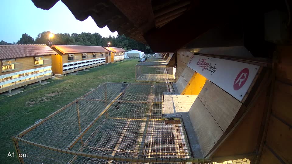 Pigeon Arrival Image For Race Final Race 1/3