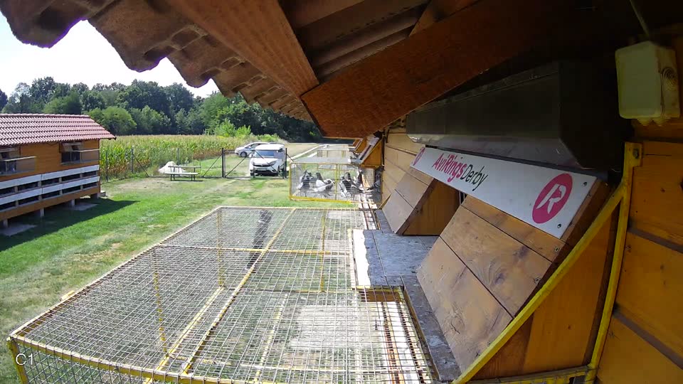 Pigeon Arrival Image For Race Race 1