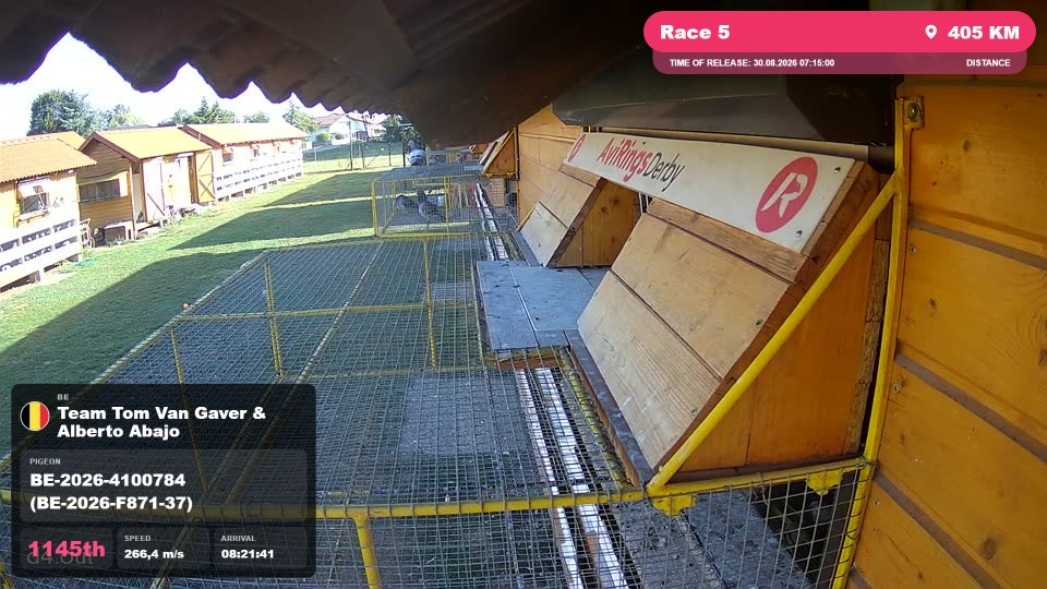 Pigeon Arrival Image For Race Race 5