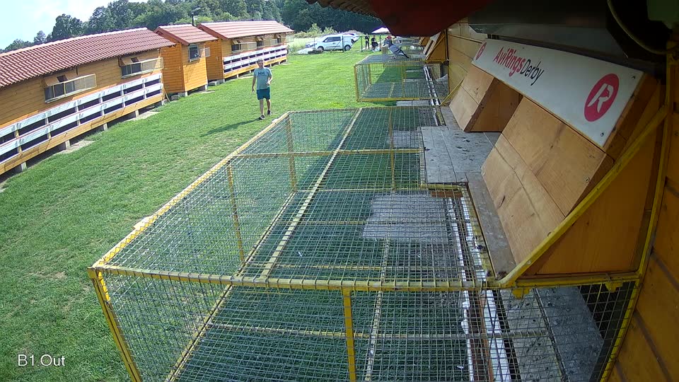 Pigeon Arrival Image For Race Final race 1