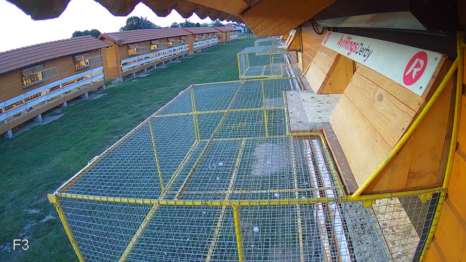 Pigeon Arrival Image For Race Race 5