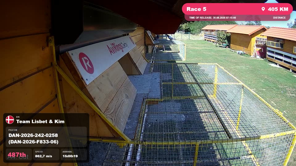 Pigeon Arrival Image For Race Race 5