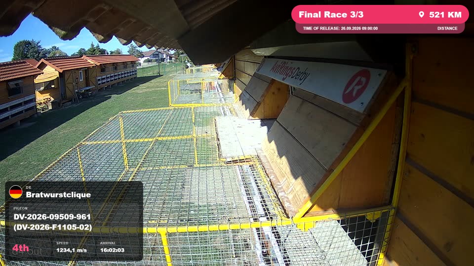Pigeon Arrival Image For Race Final Race 3/3