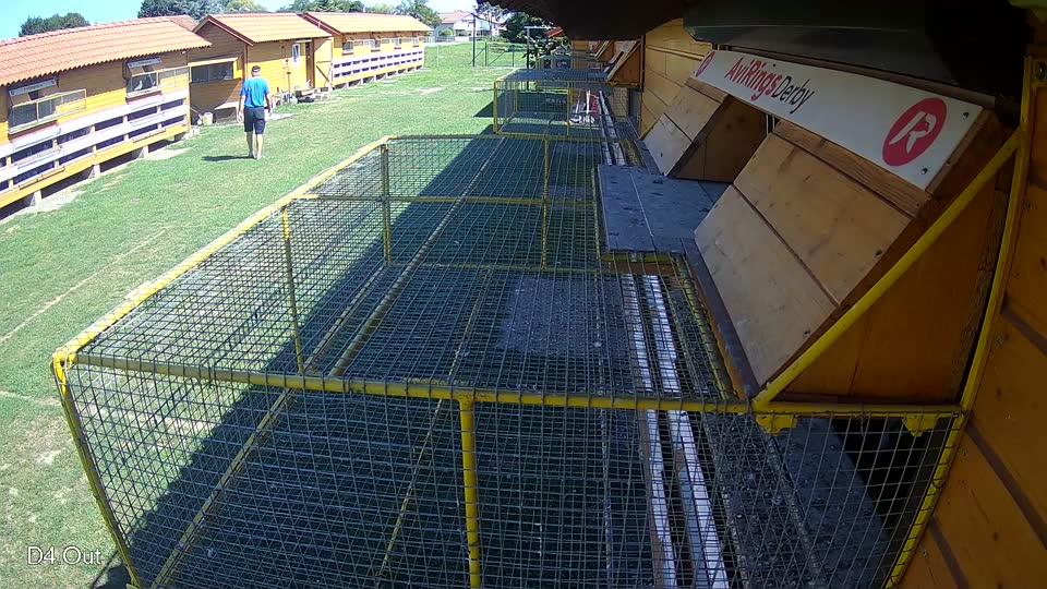 Pigeon Arrival Image For Race Race 2