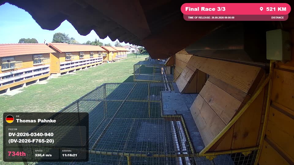 Pigeon Arrival Image For Race Final Race 3/3