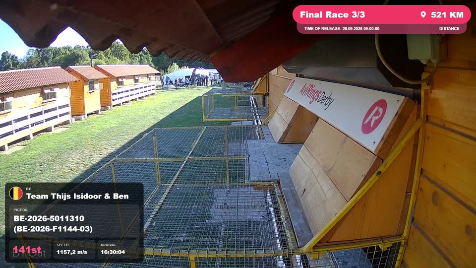 Pigeon Arrival Image For Race Final Race 3/3