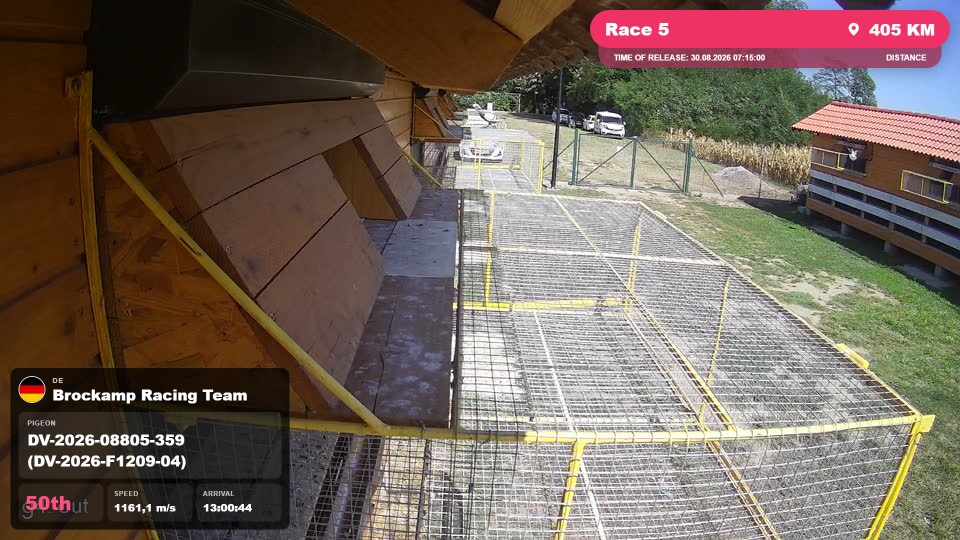 Pigeon Arrival Image For Race Race 5