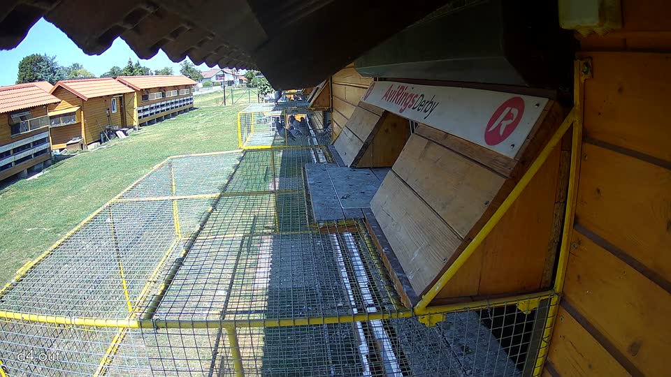 Pigeon Arrival Image For Race Race 2