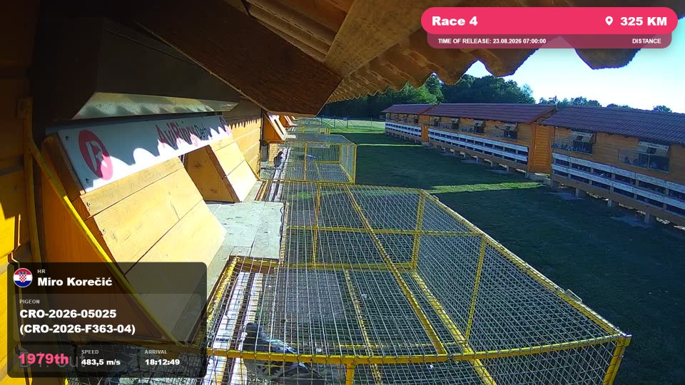 Pigeon Arrival Image For Race Race 4