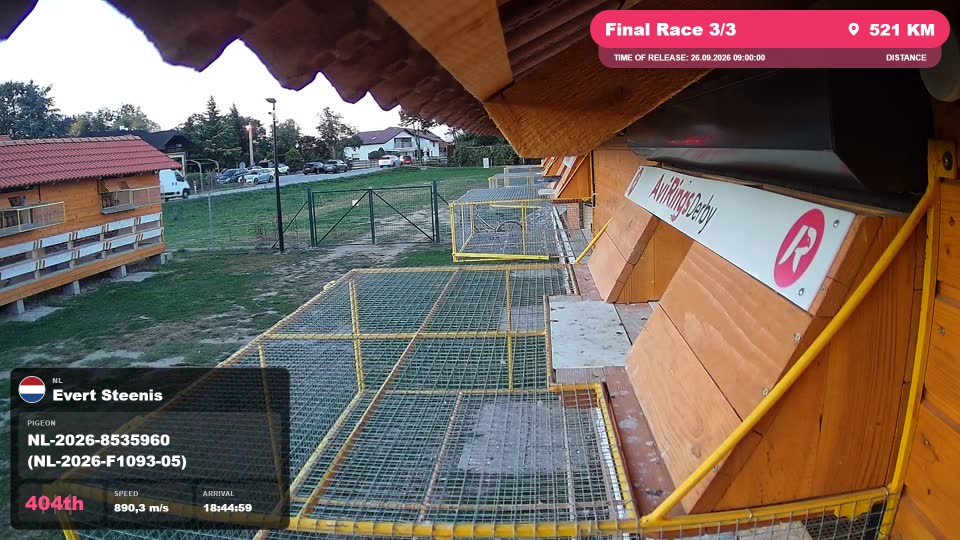 Pigeon Arrival Image For Race Final Race 3/3