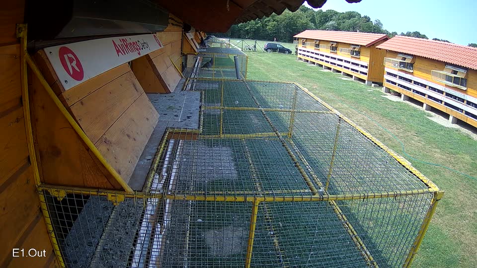 Pigeon Arrival Image For Race Race 3