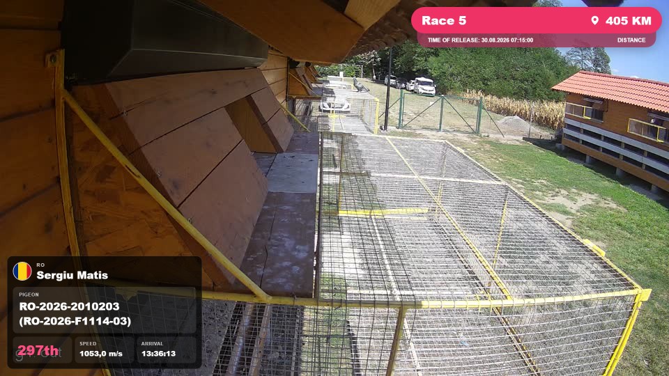 Pigeon Arrival Image For Race Race 5