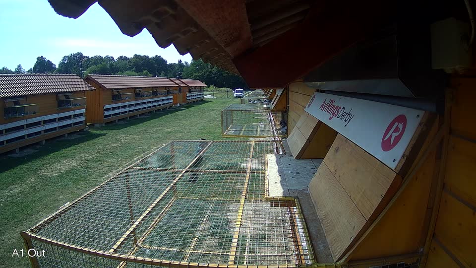 Pigeon Arrival Image For Race Race 5