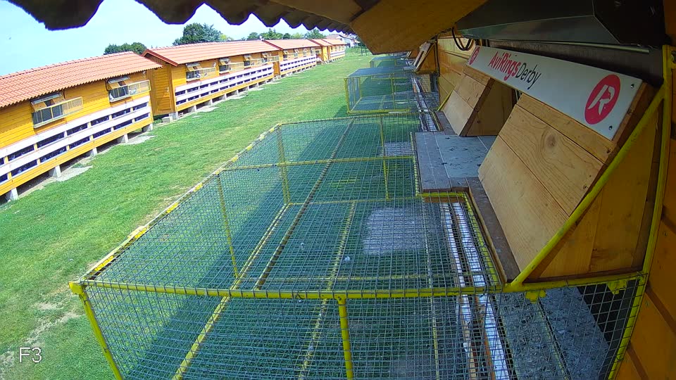 Pigeon Arrival Image For Race Race 3