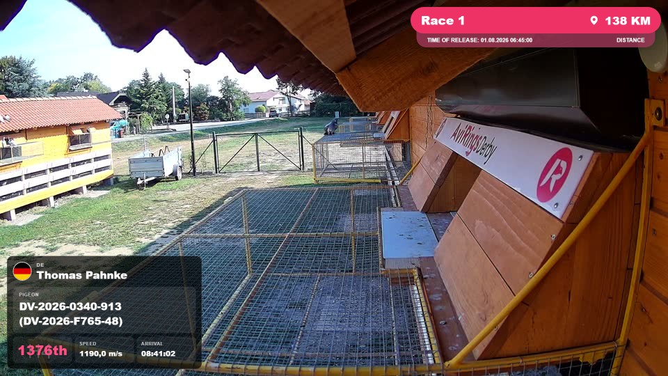 Pigeon Arrival Image For Race Race 1