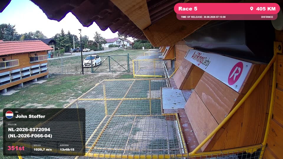 Pigeon Arrival Image For Race Race 5