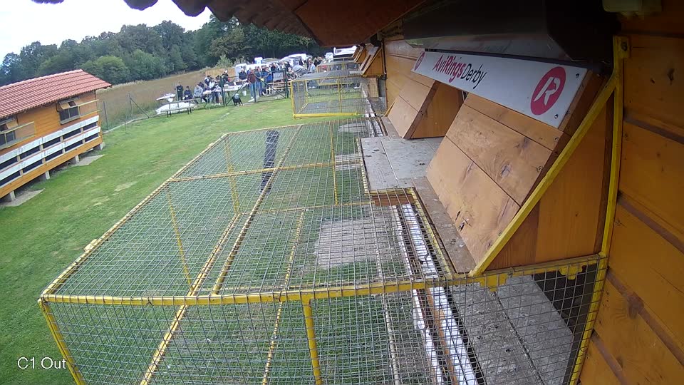 Pigeon Arrival Image For Race Final race 3