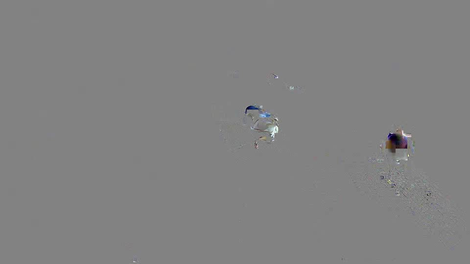 Pigeon Arrival Image For Race Race 2