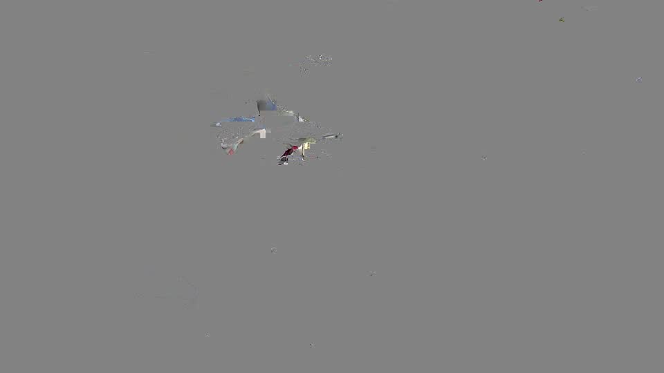 Pigeon Arrival Image For Race Race 2