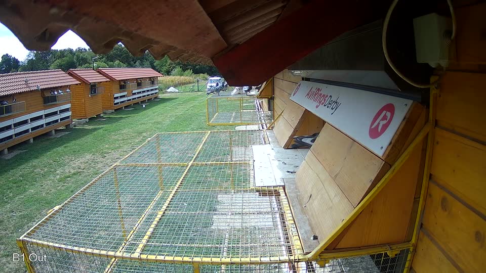 Pigeon Arrival Image For Race Race 4