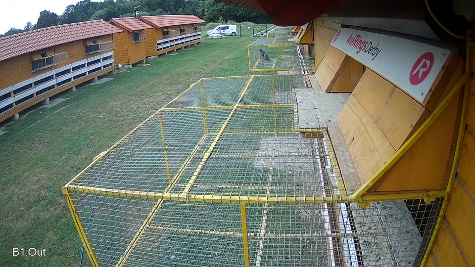 Pigeon Arrival Image For Race Race 3