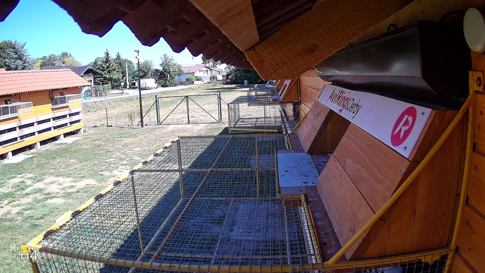 Pigeon Arrival Image For Race Race 3
