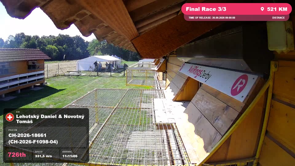 Pigeon Arrival Image For Race Final Race 3/3