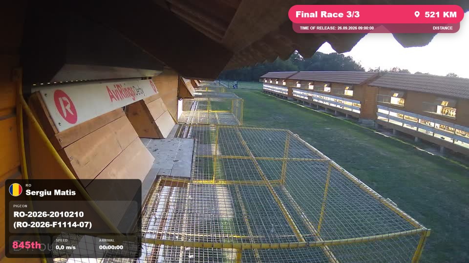 Pigeon Arrival Image For Race Final Race 3/3