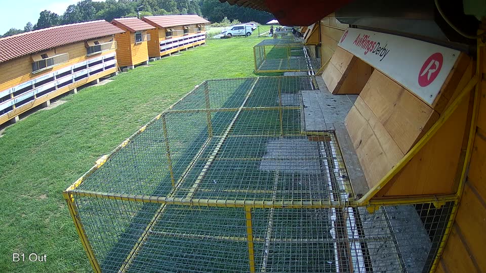 Pigeon Arrival Image For Race Final race 1