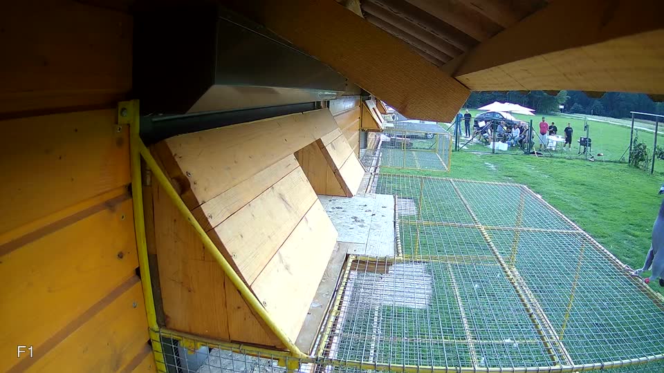 Pigeon Arrival Image For Race Final race 1