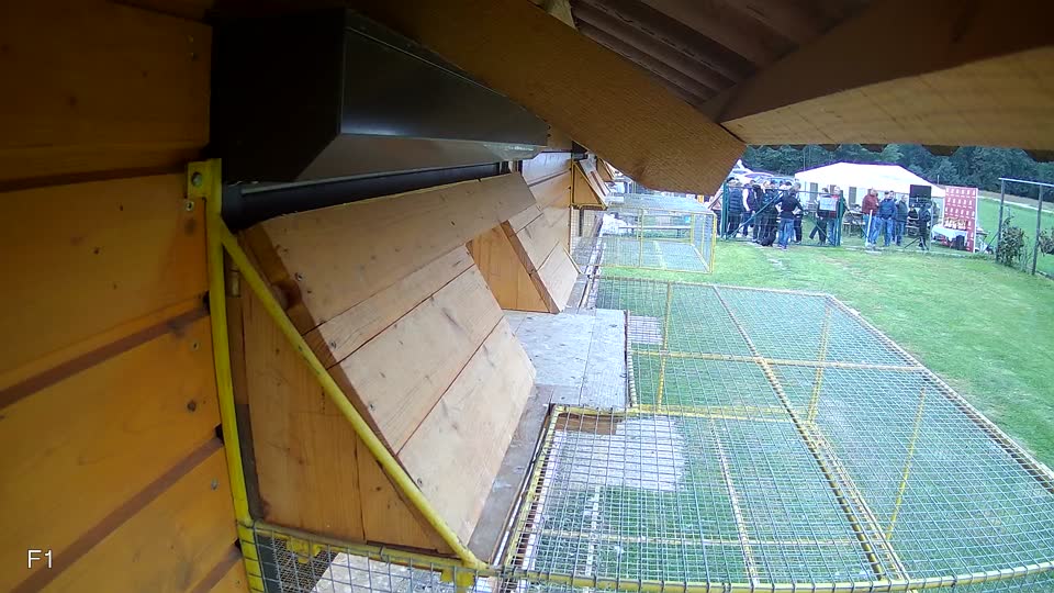 Pigeon Arrival Image For Race Final race 3