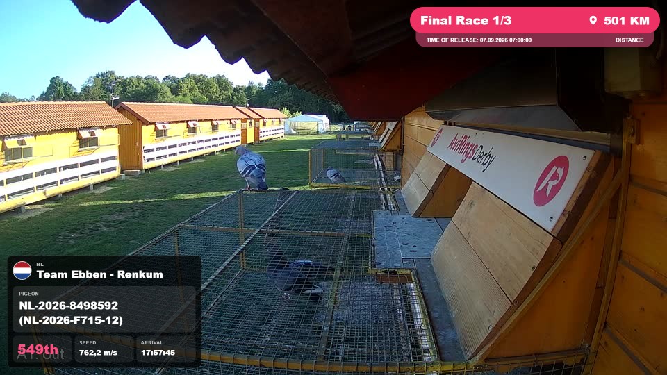 Pigeon Arrival Image For Race Final Race 1/3