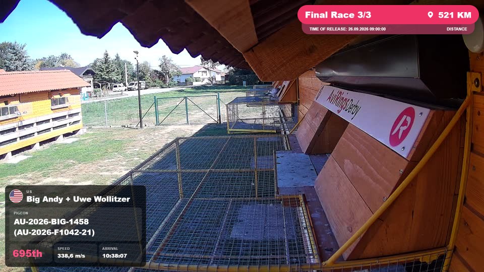 Pigeon Arrival Image For Race Final Race 3/3