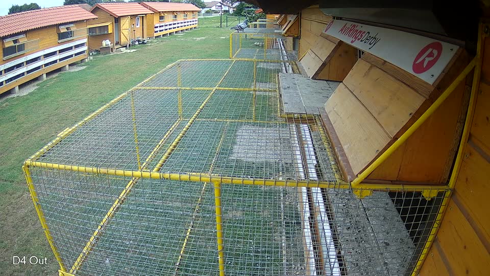 Pigeon Arrival Image For Race Race 3
