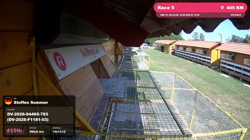 Pigeon Arrival Image For Race Race 5