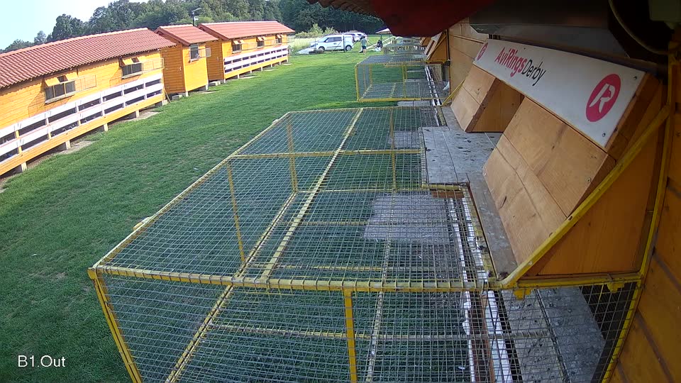 Pigeon Arrival Image For Race Final race 1