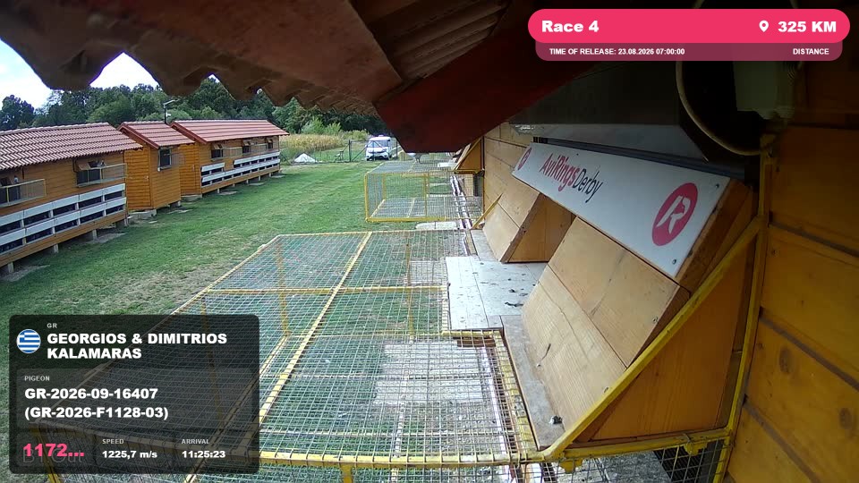 Pigeon Arrival Image For Race Race 4