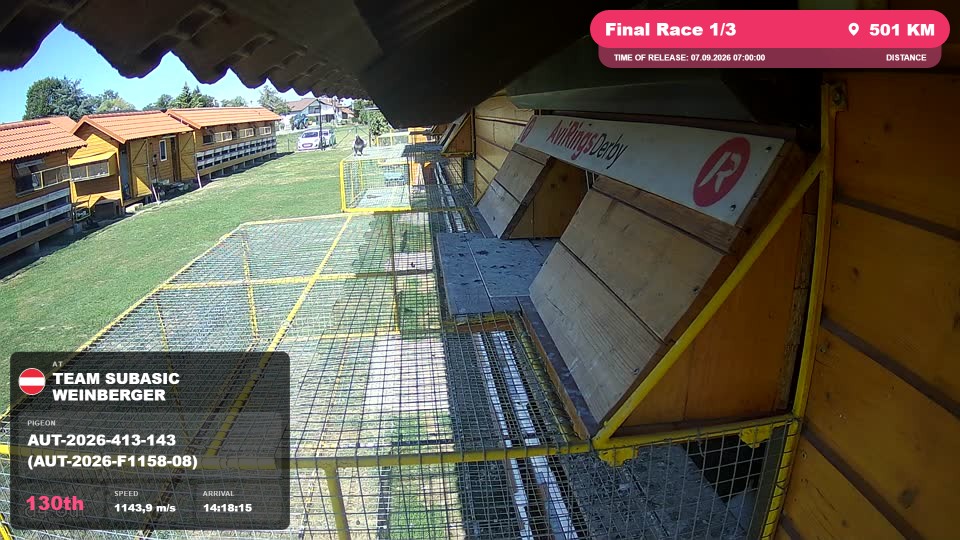 Pigeon Arrival Image For Race Final Race 1/3