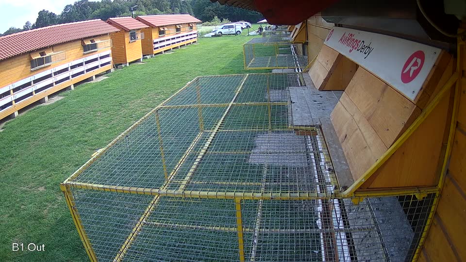 Pigeon Arrival Image For Race Final race 1