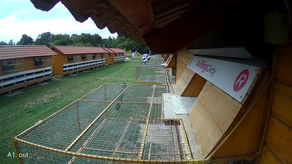 Pigeon Arrival Image For Race Race 4