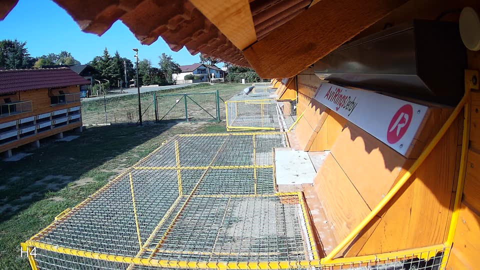 Pigeon Arrival Image For Race Race 5